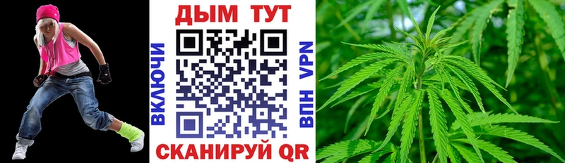 Бошки Шишки планчик  продажа наркотиков  Фрязино 